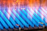 Raisbeck gas fired boilers